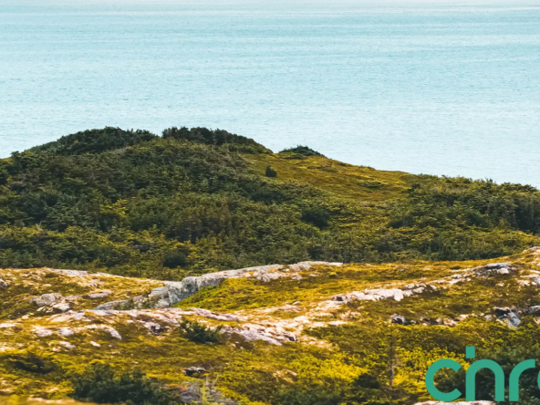 Agia Marina Investment Plot for Sale - Chania Real Estate