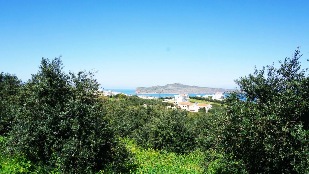 Agia Marina Land Plot for Sale – Chania Real Estate Investment