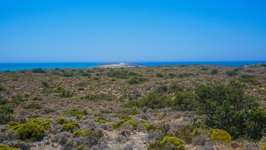Elafonisi Investment |Plot for Sale - Chania Real Estate