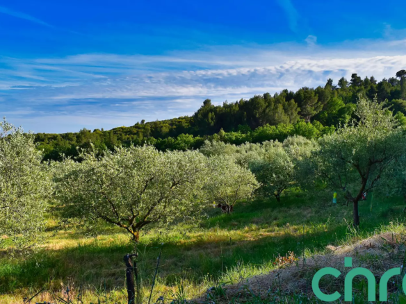 Modi, Platanias Investmetn Plot for Sale - Chania Real Estate Investment Properties Only