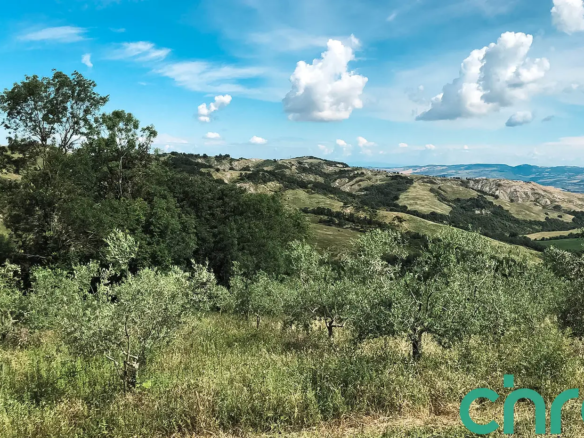 Platanias Investments Plot for Sale - Chania Real Estate