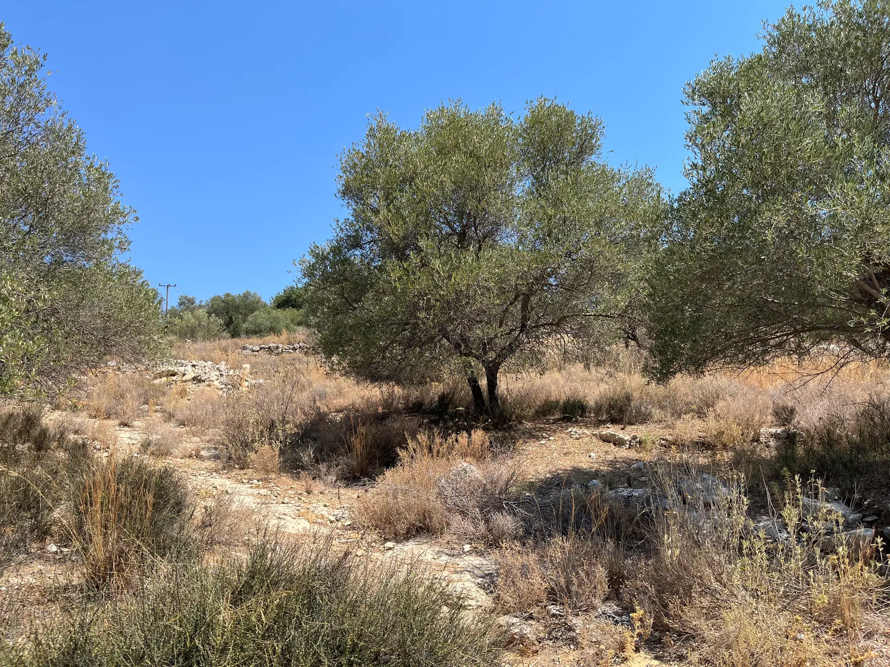 Three Land Plots For Sale in Apokoronas