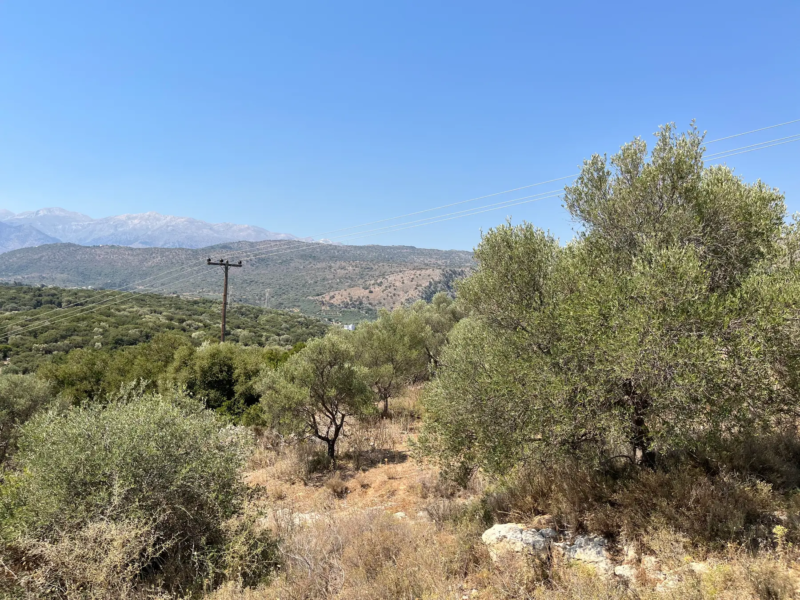 Three Land Plots For Sale in Apokoronas - Chania Real Estate