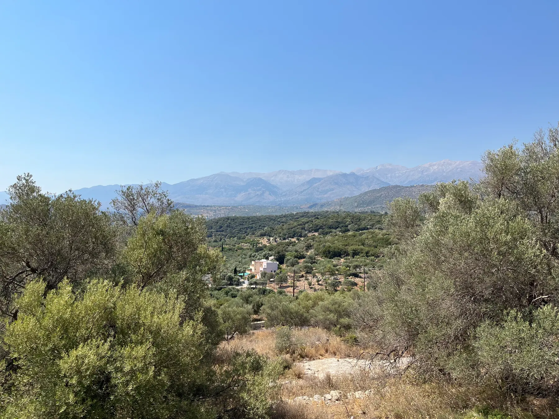 Three Land Plots For Sale in Apokoronas