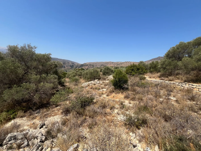 Three Land Plots For Sale in Apokoronas