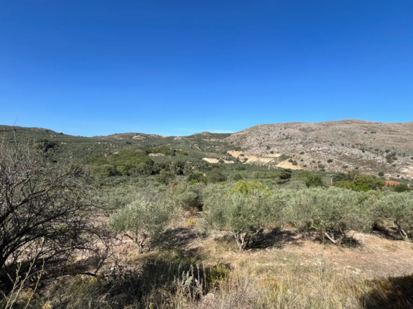 Deliana Plot for Sale, Kolimbari - Chania Real Estate